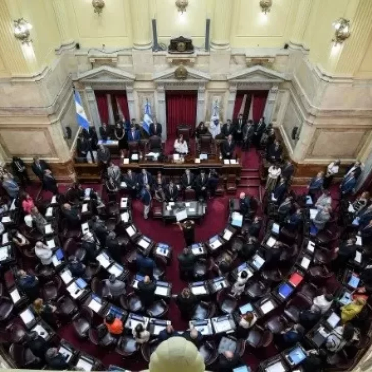 Financiamiento Universitario y Emergencia Pediátrica se encaminan a convertirse en ley en el Senado