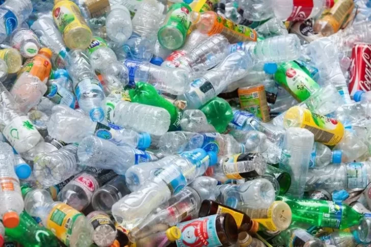 Separamos la basura: ¿Secos o húmedos? Qué residuos se sacan para la recolección diferenciada hoy, viernes 11 de junio