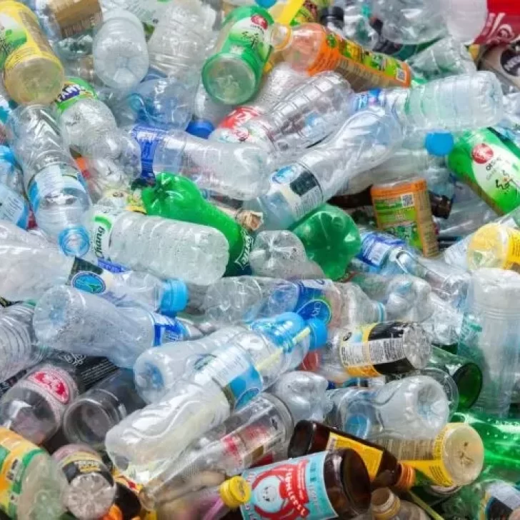 Separamos la basura: ¿Secos o húmedos? Qué residuos se sacan para la recolección diferenciada hoy, viernes 11 de junio