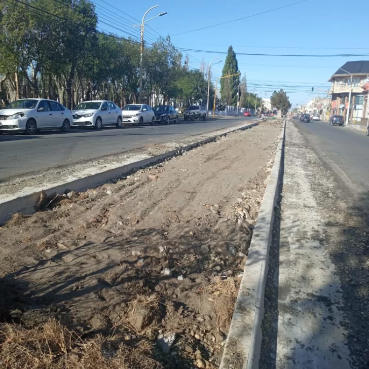 Removieron los históricos árboles frente a la municipalidad de Río Gallegos