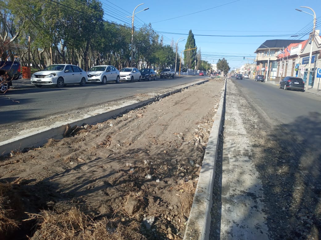 Removieron los históricos árboles frente a la municipalidad de Río Gallegos