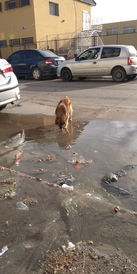 Bronca de amparista por derrames cloacales en Caleta Olivia Bronca de amparista por derrames cloacales en Caleta Olivia