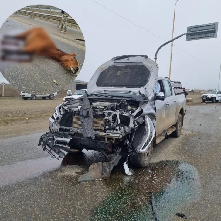 Chocó contra un caballo, su camioneta quedó destruida y el animal murió