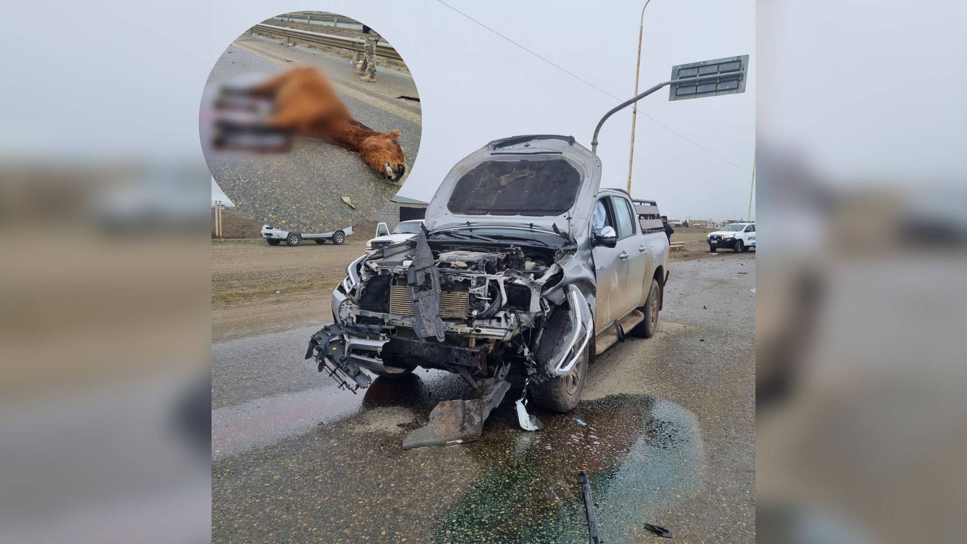 Chocó contra un caballo, su camioneta quedó destruida y el animal murió