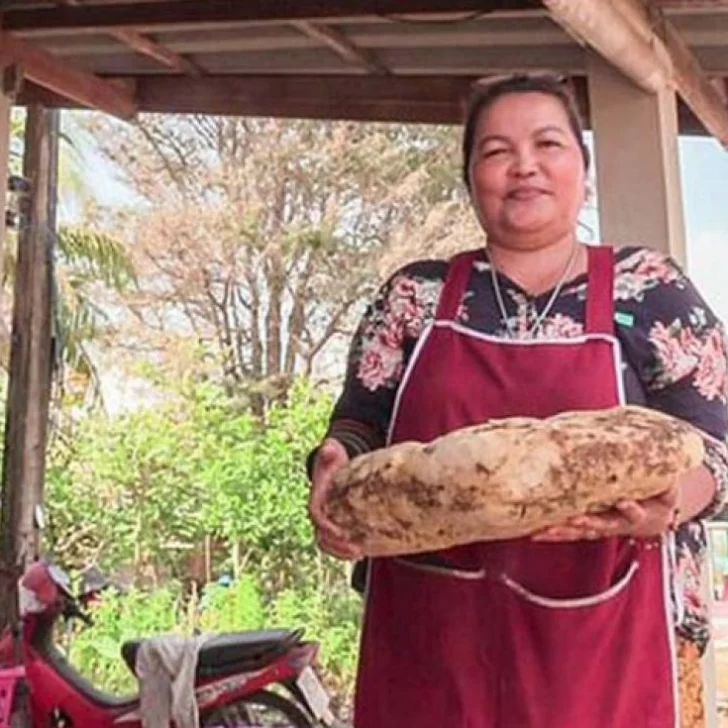 Una mujer encontró vómito de cachalote y podría venderlo hasta en 260 mil dólares