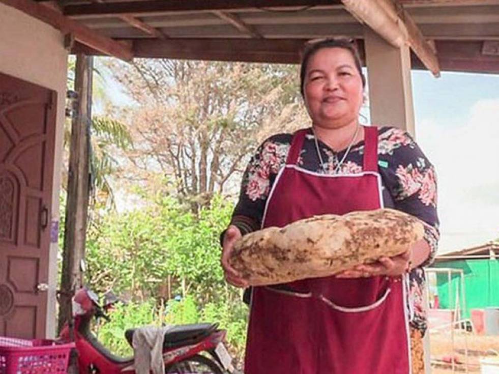 Una mujer encontró vómito de cachalote y podría venderlo hasta en 260 mil dólares