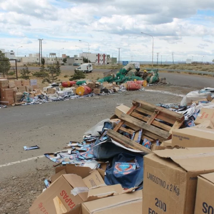 Perdió el control del camión y volcó su carga portuaria Perdió el control del camión y volcó su carga portuaria