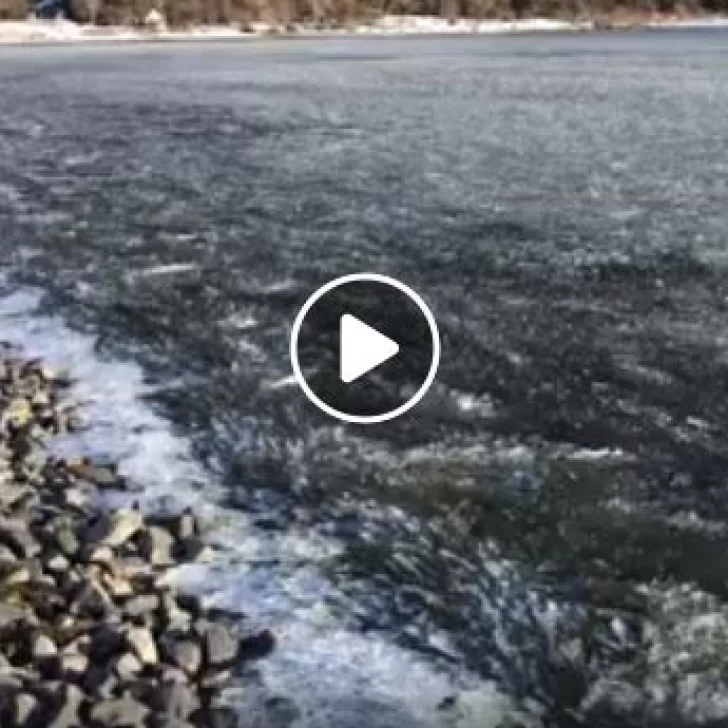 El canal de Beagle, ¡congelado!: especialista explicó el fenómeno