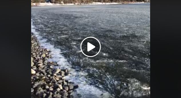 El canal de Beagle, ¡congelado!: especialista explicó el fenómeno
