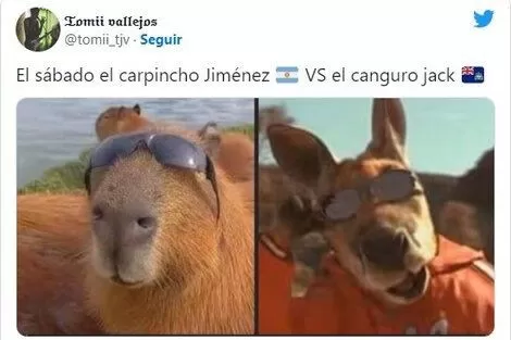 Mundial Qatar 2022: los divertidos memes antes del partido de Argentina contra Australia