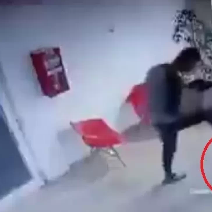 Brutal maltrato animal: echaron de su trabajo al golpeador del caniche toy de La Plata Brutal maltrato animal: echaron de su trabajo al golpeador del caniche toy de La Plata