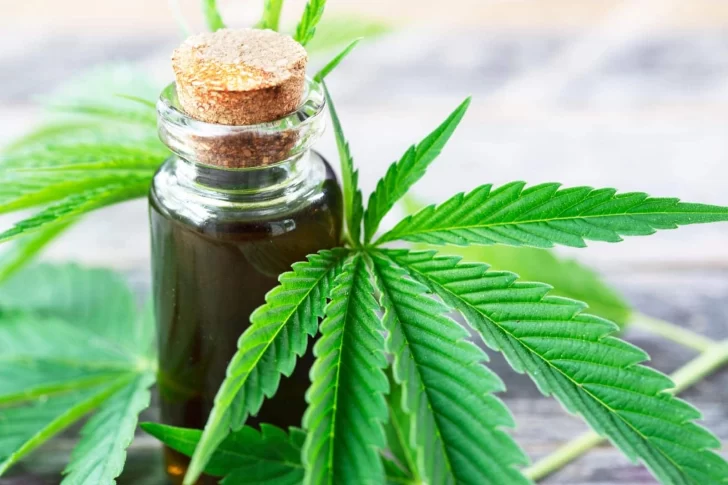 El Gobierno legalizó el autocultivo de cannabis para uso medicinal
