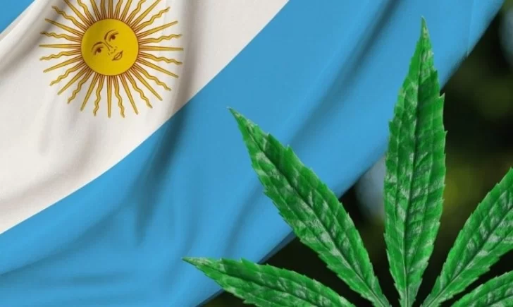 El Gobierno promoverá proyecto de utilización de cannabis con fines industriales y uso medicinal