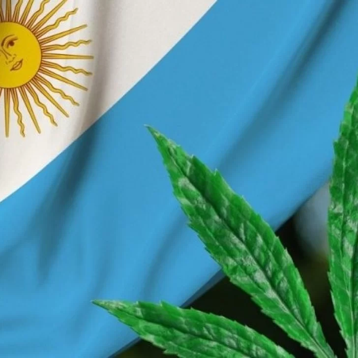 El Gobierno promoverá proyecto de utilización de cannabis con fines industriales y uso medicinal