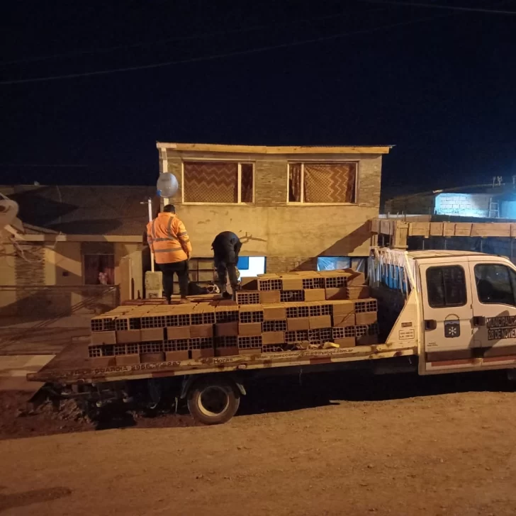 Buscaban más de 500 ladrillos robados y encontraron una plantación de cannabis