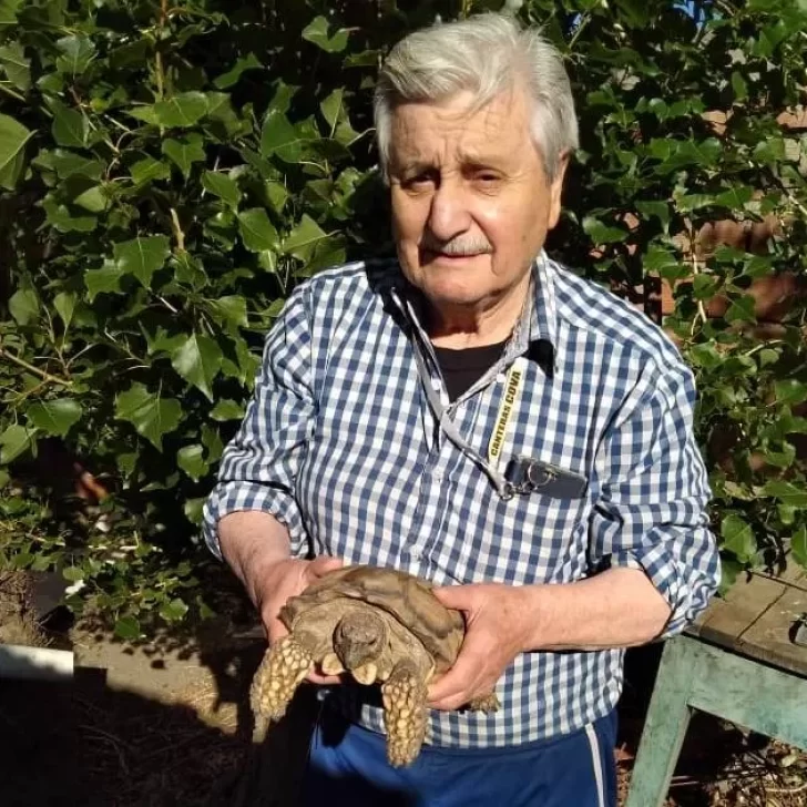 Tortugas: por qué no deben ser mascotas y qué las motiva a escapar Tortugas: por qué no deben ser mascotas y qué las motiva a escapar