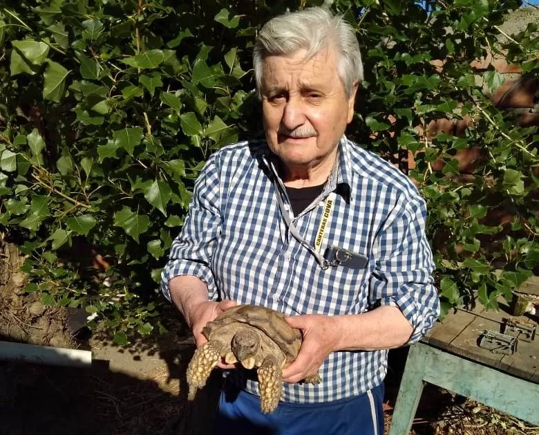 Tortugas: por qué no deben ser mascotas y qué las motiva a escapar Tortugas: por qué no deben ser mascotas y qué las motiva a escapar