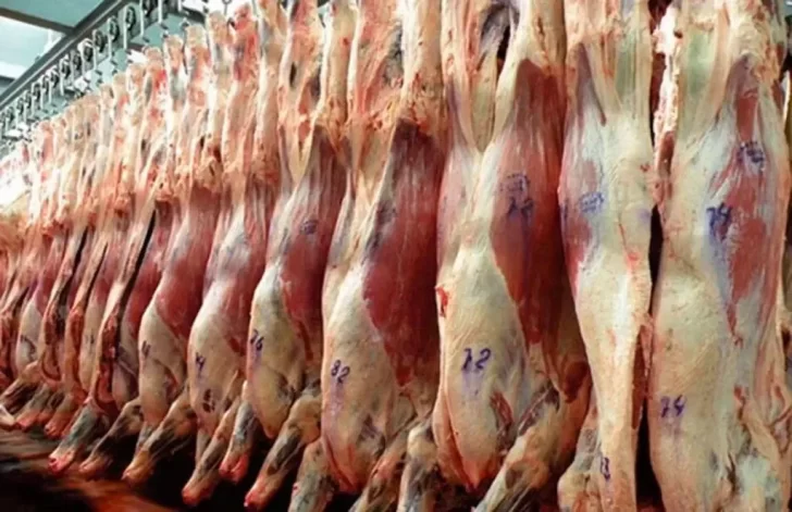 Amplían las exportaciones de carne vacuna a China hasta las 140.000 cabezas