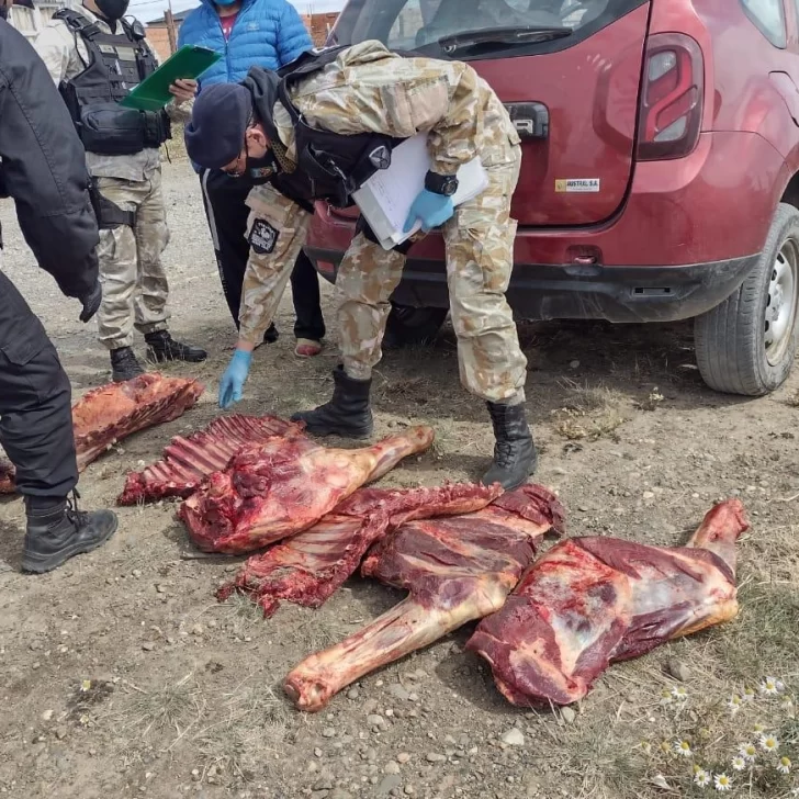 Río Gallegos: Venta clandestina de carne de caballo modalidad “delivery”