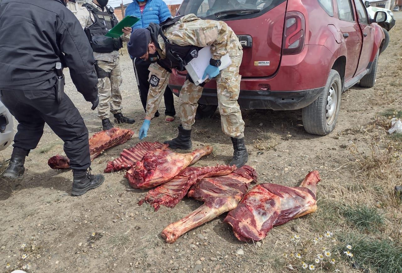 Río Gallegos: Venta clandestina de carne de caballo modalidad “delivery”