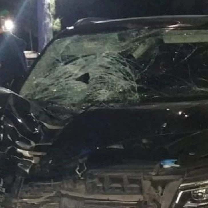 El ex arquero Pablo Cavallero atropelló y mató a una persona en la Ruta 2 El ex arquero Pablo Cavallero atropelló y mató a una persona en la Ruta 2