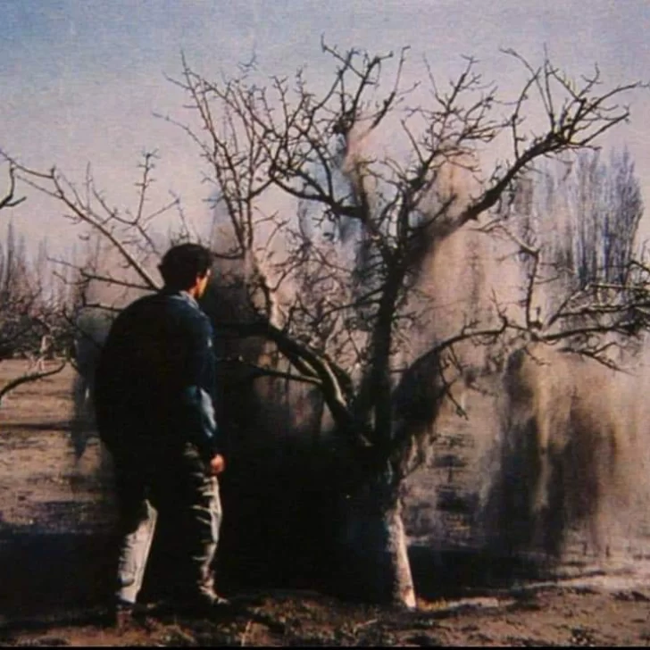 La erupción del volcán Hudson y el recuerdo de la catástrofe: “En un mes sacamos 2.500 ovejas muertas” La erupción del volcán Hudson y el recuerdo de la catástrofe: “En un mes sacamos 2.500 ovejas muertas”