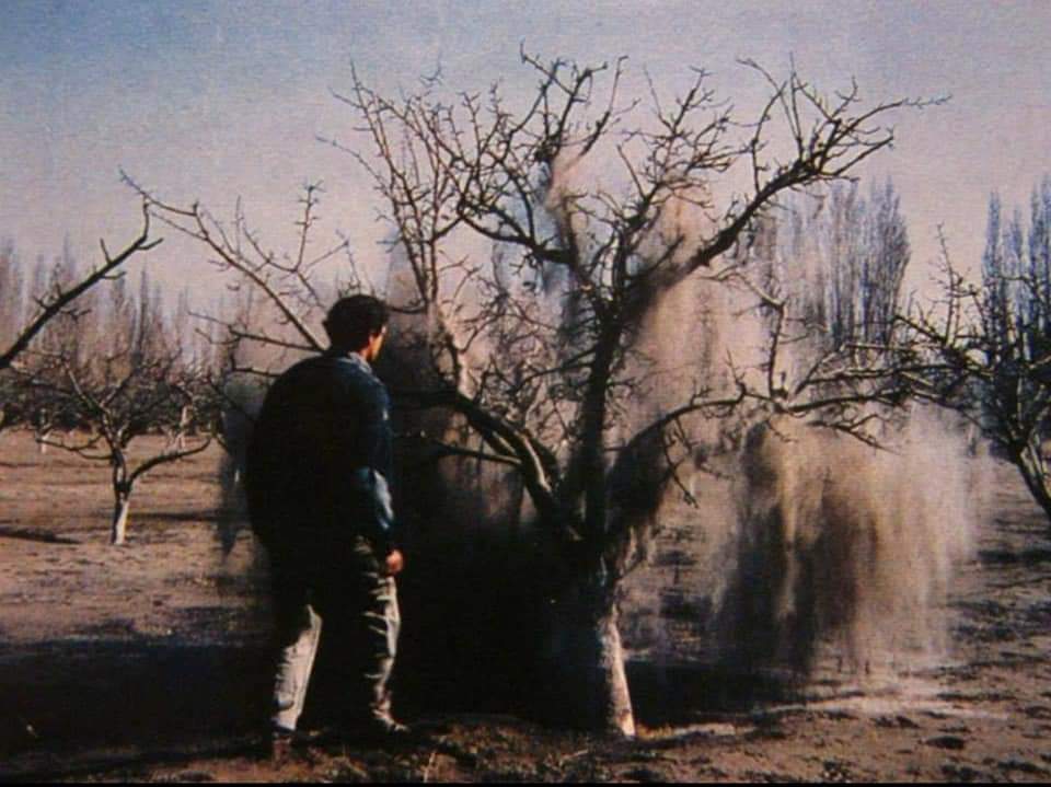 La erupción del volcán Hudson y el recuerdo de la catástrofe: “En un mes sacamos 2.500 ovejas muertas” La erupción del volcán Hudson y el recuerdo de la catástrofe: “En un mes sacamos 2.500 ovejas muertas”