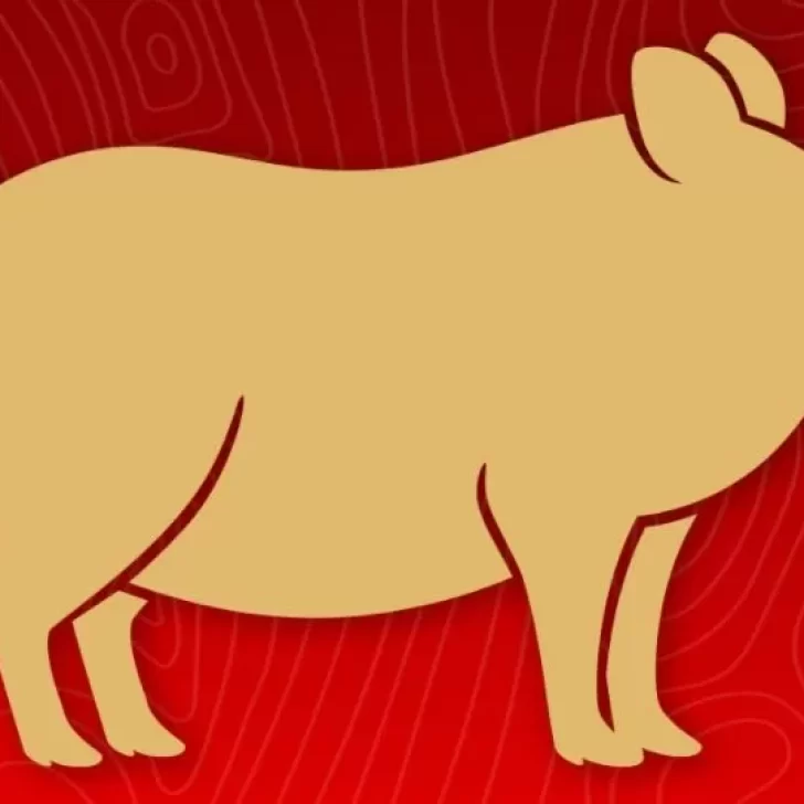 Horóscopo Chino 2022: qué dicen las predicciones para el signo del Cerdo Horóscopo Chino 2022: qué dicen las predicciones para el signo del Cerdo