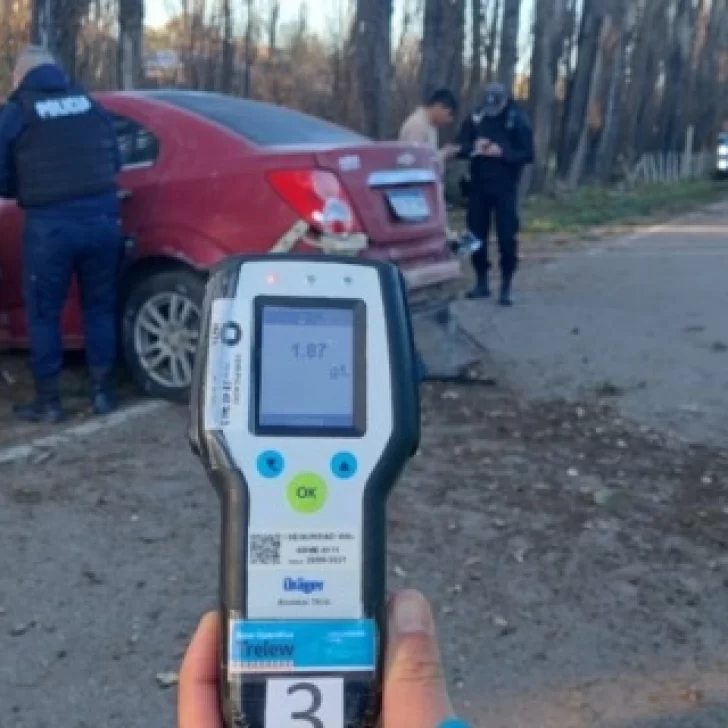Manejaba alcoholizado y despistó en la ruta: dijo que fue “por esquivar un conejo”