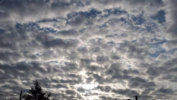 Clima en Río Grande: pronóstico del tiempo para hoy, sábado 15 de junio de 2024