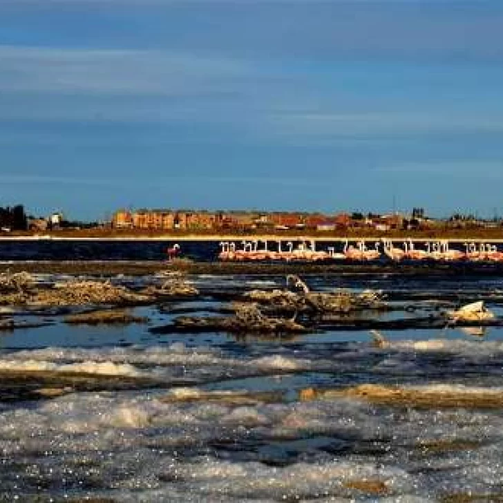La Secretaria de Ambiente convoca a fotógrafos profesionales y aficionados La Secretaria de Ambiente convoca a fotógrafos profesionales y aficionados