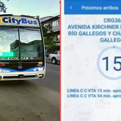 Cómo usar la app de CityBus en Río Gallegos para conocer horarios, paradas y recorridos