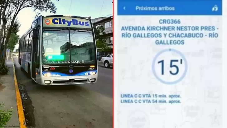 Cómo usar la app de CityBus en Río Gallegos para conocer horarios, paradas y recorridos