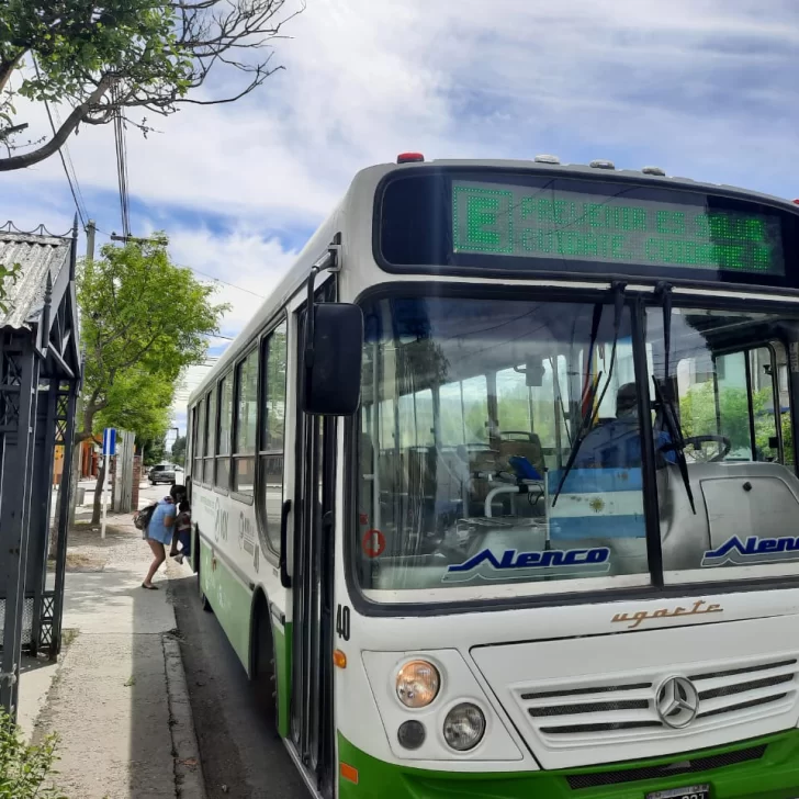 Zona Franca: el Gobierno y el Municipio buscan un servicio diferencial de colectivos
