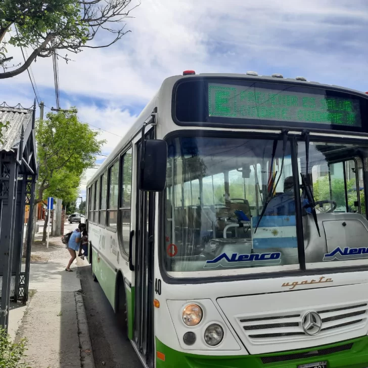 Exclusivo. Confirmaron cómo será el transporte público en Río Gallegos el día de las elecciones