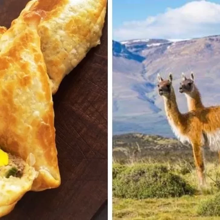 Empanadas de carne de guanaco: una receta única de la gastronomía de Santa Cruz