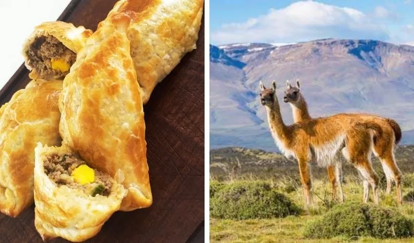 Empanadas de carne de guanaco una receta nica de la gastronom a