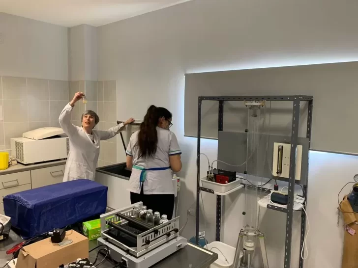 Científicos de Comodoro investigan una bacteria patagónica que degrada el petróleo y lo transforma en “bioplástico”