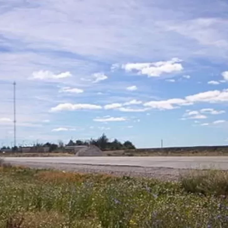Hallaron huesos y restos de tela en un campo cerca de la Ruta 3 Hallaron huesos y restos de tela en un campo cerca de la Ruta 3