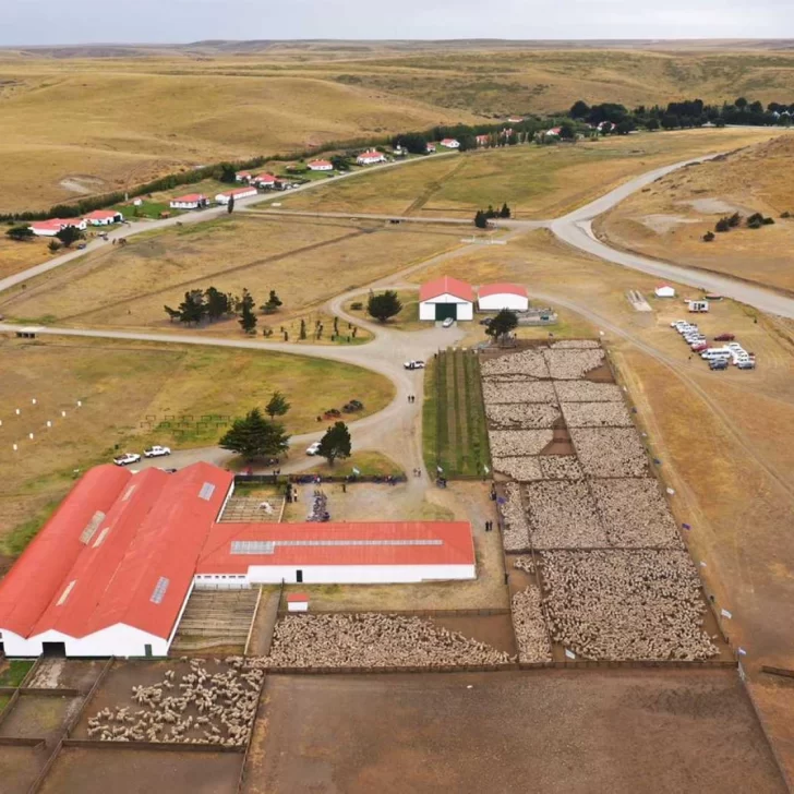 La muerte de un turista tras impactar excremento de cóndor en su cabeza se volvió viral y terminó siendo una fake news La muerte de un turista tras impactar excremento de cóndor en su cabeza se volvió viral y terminó siendo una fake news