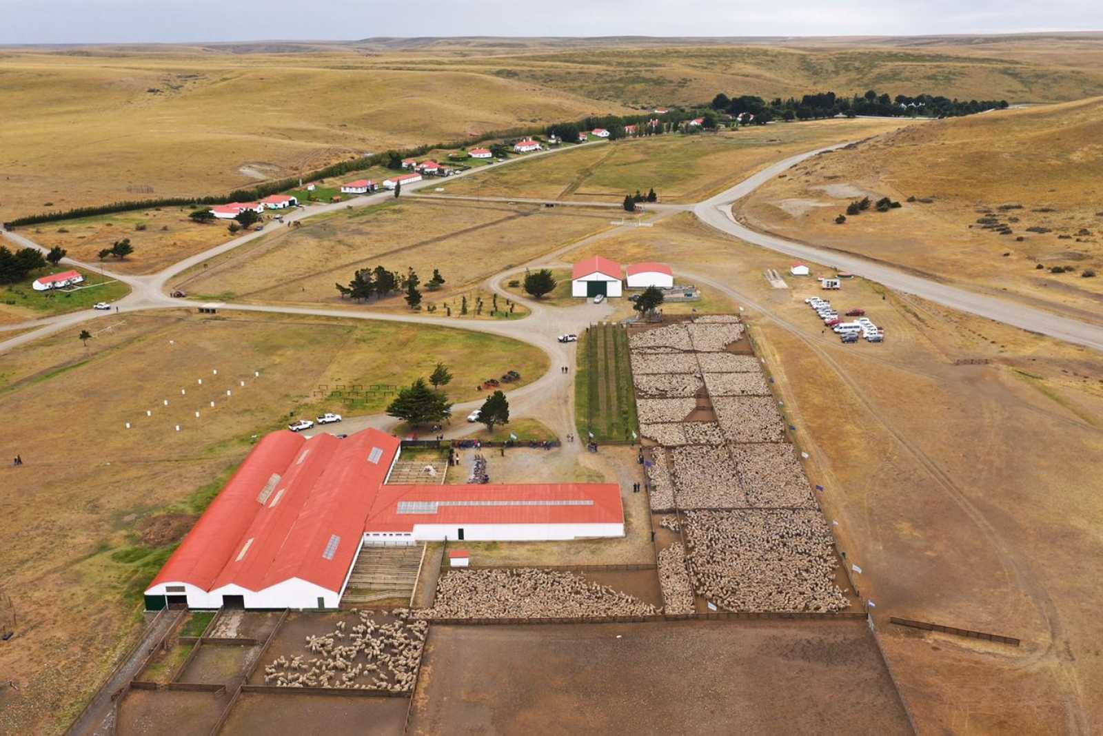 La muerte de un turista tras impactar excremento de cóndor en su cabeza se volvió viral y terminó siendo una fake news La muerte de un turista tras impactar excremento de cóndor en su cabeza se volvió viral y terminó siendo una fake news