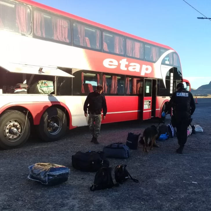 Control policial en Caleta Olivia: Tay y Branca detectan narcóticos