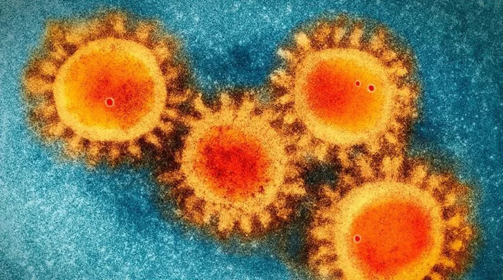 Científicos descifraron cual es el “arma secreta” del coronavirus que lo hace tan infeccioso