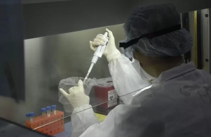Ministerio de Salud informó sobre un caso notificado de hongo negro asociado al Covid-19