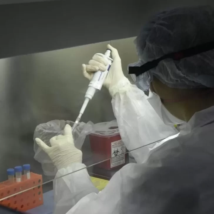Ministerio de Salud informó sobre un caso notificado de hongo negro asociado al Covid-19