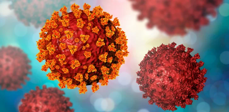 Detectaron dos variantes brasileñas de coronavirus en la Argentina