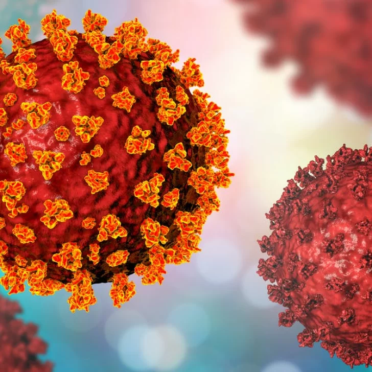 Detectaron dos variantes brasileñas de coronavirus en la Argentina
