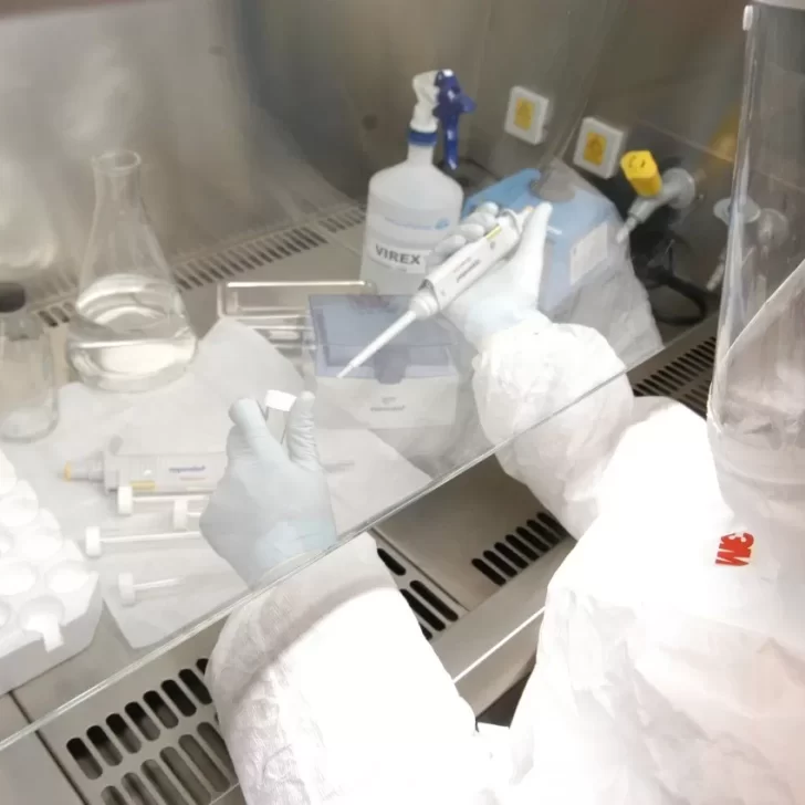 Coronavirus: confirmaron el primer caso con la variante Delta en Tierra del Fuego