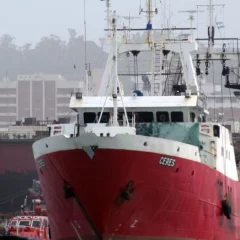 El Gobierno desreguló el transporte marítimo y declaró servicio esencial la navegación