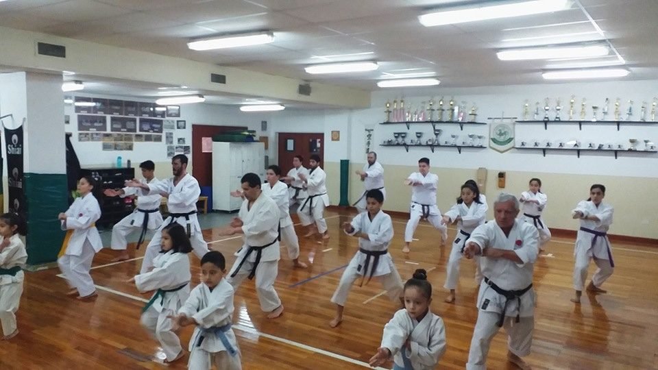 Karatecas albiverdes compiten en Río Negro Karatecas albiverdes compiten en Río Negro